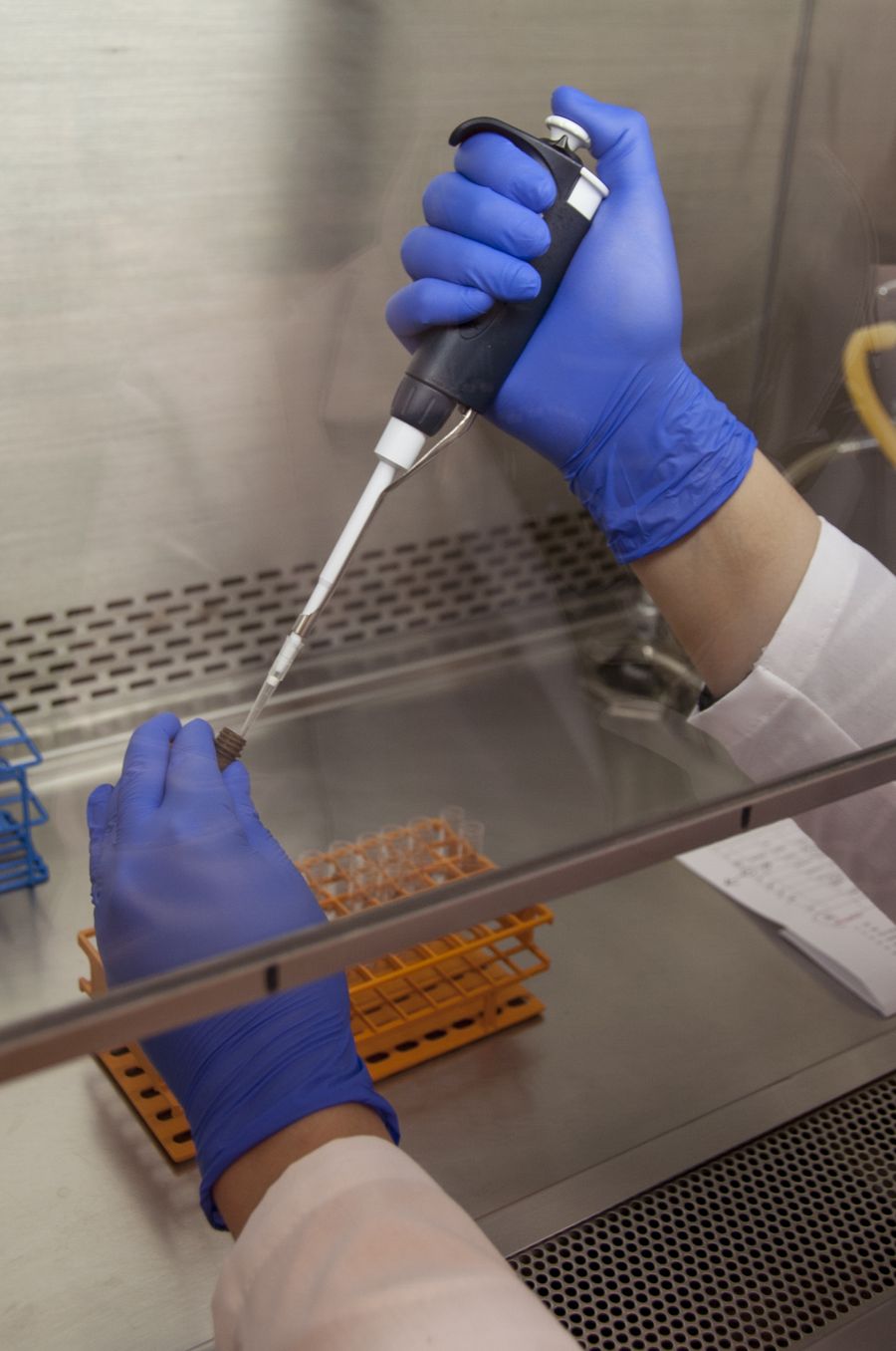 Laboratuvarda pipetle örnek hazırlanması (temsili görsel)
